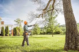 Reliable Chamberlayne, VA Tree Removal and Landscaping Services Solutions